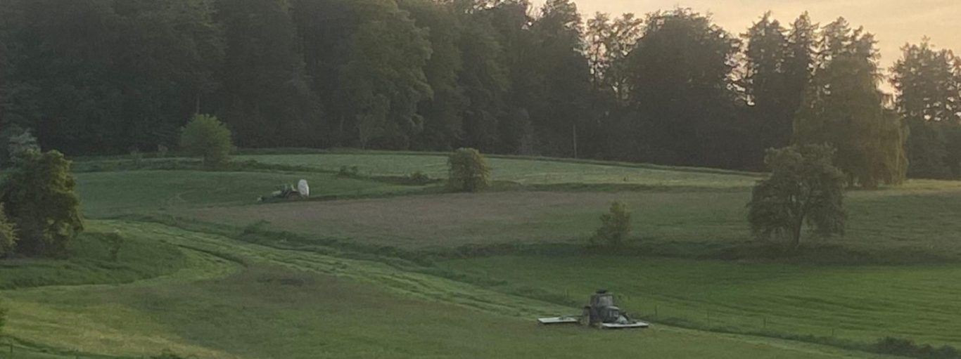 Mähen im Sonnenuntergang Landschaft mit sanften Hügeln, grünen Feldern und Bäumen im Hintergrund. Mähen im Sonnenuntergang, am Rondinchen.